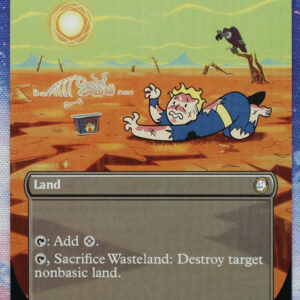 Wasteland #361 Fallout (PIP) hologram