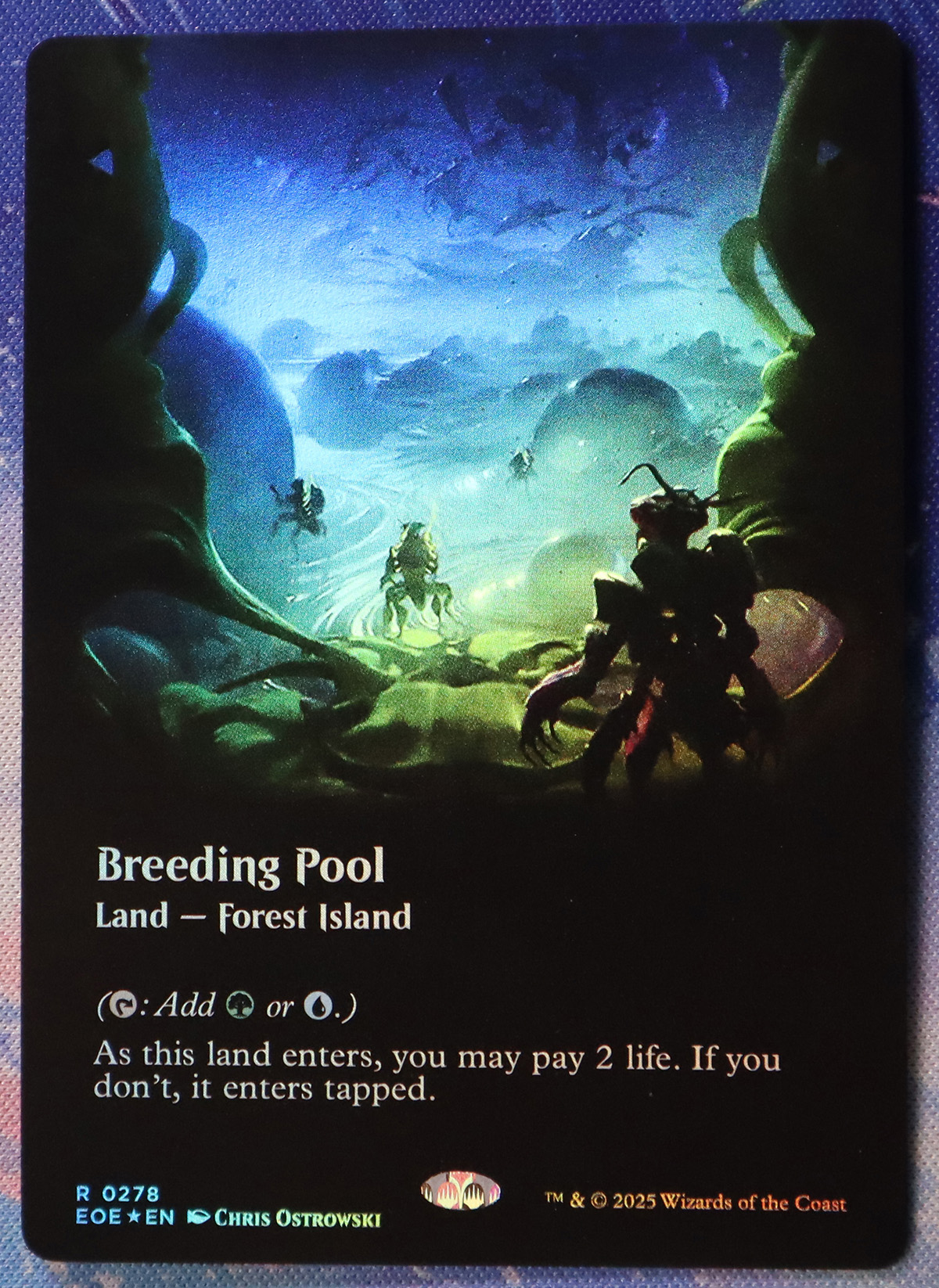 Breeding Pool #278 EOE foil
