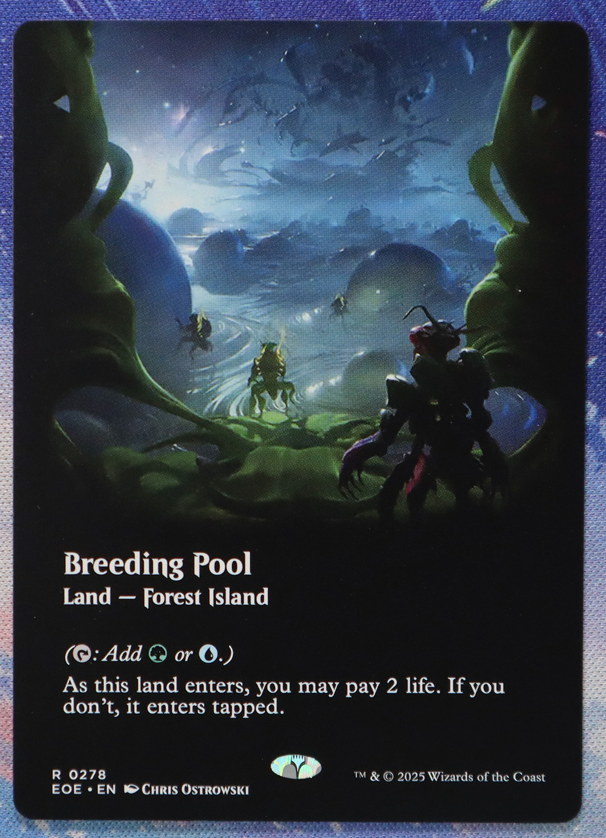 Breeding Pool #278 EOE hologram