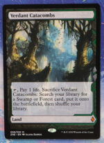 Verdant Catacombs ZNE Zendikar Rising Expeditions hologram