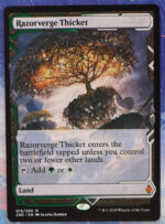 Razorverge Thicket #015 Zendikar Rising Expeditions (ZNE) hologram