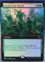 Awaken the Woods The Brothers' War (BRO) foil