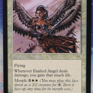 Exalted Angel ONS normal