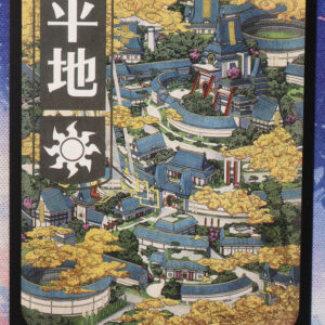 Plains #294 NEO normal