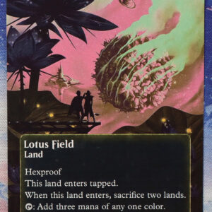 Lotus Field #68 EOS hologram