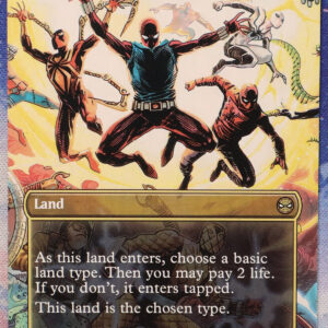 Multiversal Passage #206 SPM hologram