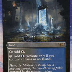 Floodfarm Verge #330 DSK hologram