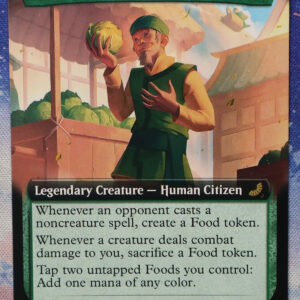 The Cabbage Merchant #203 TLE hologram