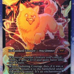 Enduring Courage #392 DSK foil