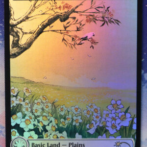 Plains #1399 Secret Lair Drop (SLD) foil