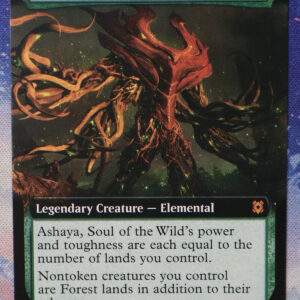 Ashaya, Soul of the Wild #358 ZNR hologram