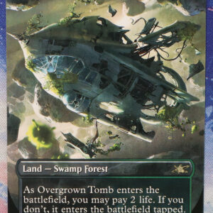 Overgrown Tomb #284 Unfinity (UNF) hologram