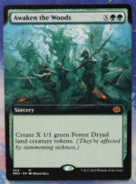 Awaken the Woods The Brothers' War (BRO) hologram